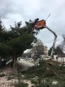 Εργασίες απομάκρυνσης των επικίνδυνων κλαδιών από δένδρα, που έσπασαν από την χιονόπτωση, ξεκίνησε ο Δήμος Εορδαίας.