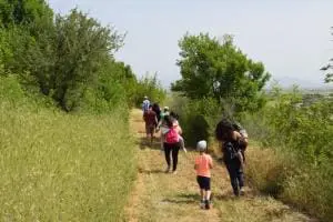 ΕΦΑ ΚΟΖΑΝΗΣ : Επαναλειτουργία Αρχαιολογικού Χώρου Αιανής