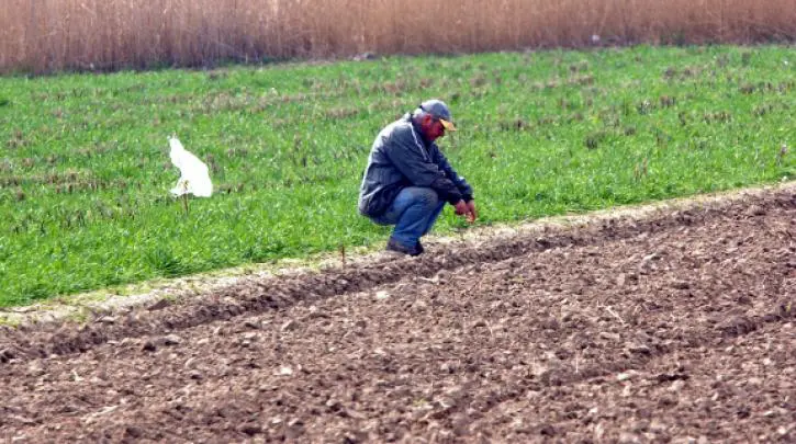 ΣΥΡΙΖΑ: Οι επιστροφές από την Ε.Ε. για καταλογισμούς να δοθούν για στήριξη των αγροτών