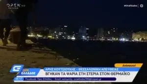 Σπάνιο φαινόμενο στη Θεσσαλονίκη: Δεκάδες ψάρια πήδηξαν και βγήκαν μόνα τους στην στεριά (βίντεο)