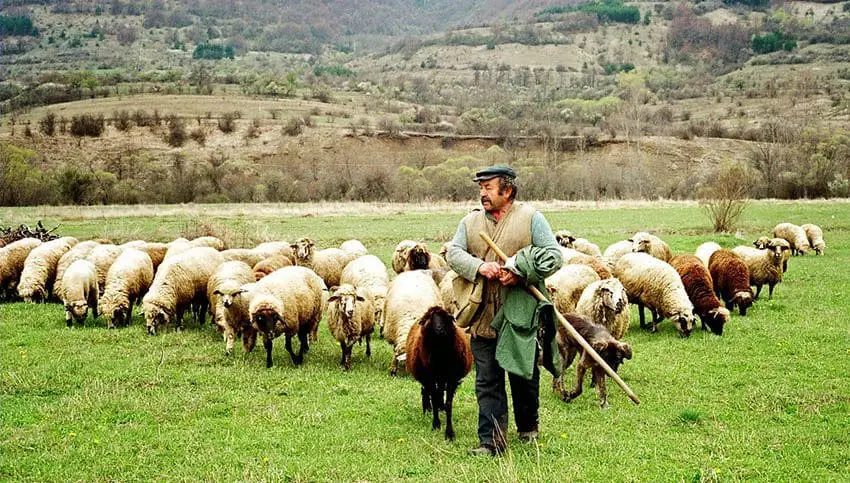 ΣΥΡΙΖΑ- Ν.Ε. ΚΟΖΑΝΗΣ: Η κυβέρνηση της ΝΔ καρατομεί τις επιδοτήσεις των αγροτών  (Με αφορμή τη πληρωμή της Βασικής Ενίσχυσηςτων αγροτών)