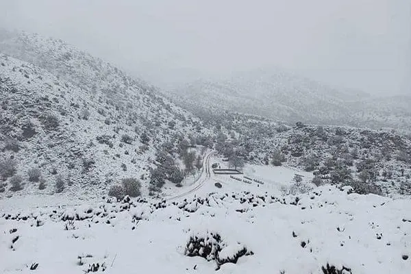 Γαλατινή: Επιχείρηση απεγκλωβισμού 4 νεαρών στο Άσκιο