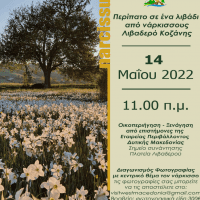 Πρόσκληση για περίπατο σε λιβάδι από Νάρκισσους στο Λιβαδερό Κοζάνης