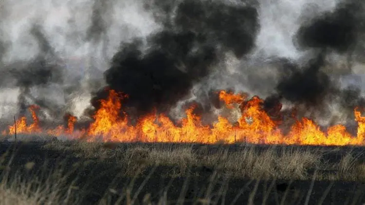 Απαγορεύεται η καύση φυτικών υπολειμμάτων καλλιεργειών (καλαμιάς) - Επιβάλλονται κυρώσεις