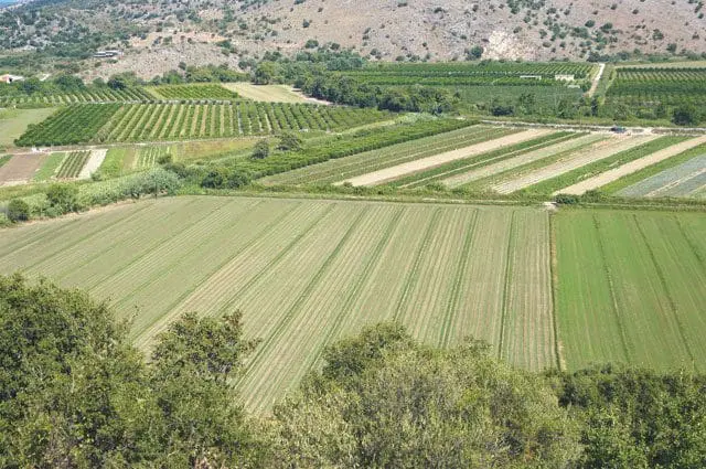 Oι αποκλειστικές αγροτικές χρήσεις γης