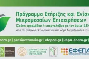 «Ένταξη επιπλέον εννέα (9) επενδυτικών σχεδίων στη Δράση «Πρόγραμμα Στήριξης και Ενίσχυσης Μικρομεσαίων Επιχειρήσεων στις ΠΕ Κοζάνης, Φλώρινας και στο Δήμο Μεγαλόπολης (ΠΕ Αρκαδίας» του Πράσινου Ταμείου»-Ολοκλήρωση Διαδικασίας Αξιολόγησης