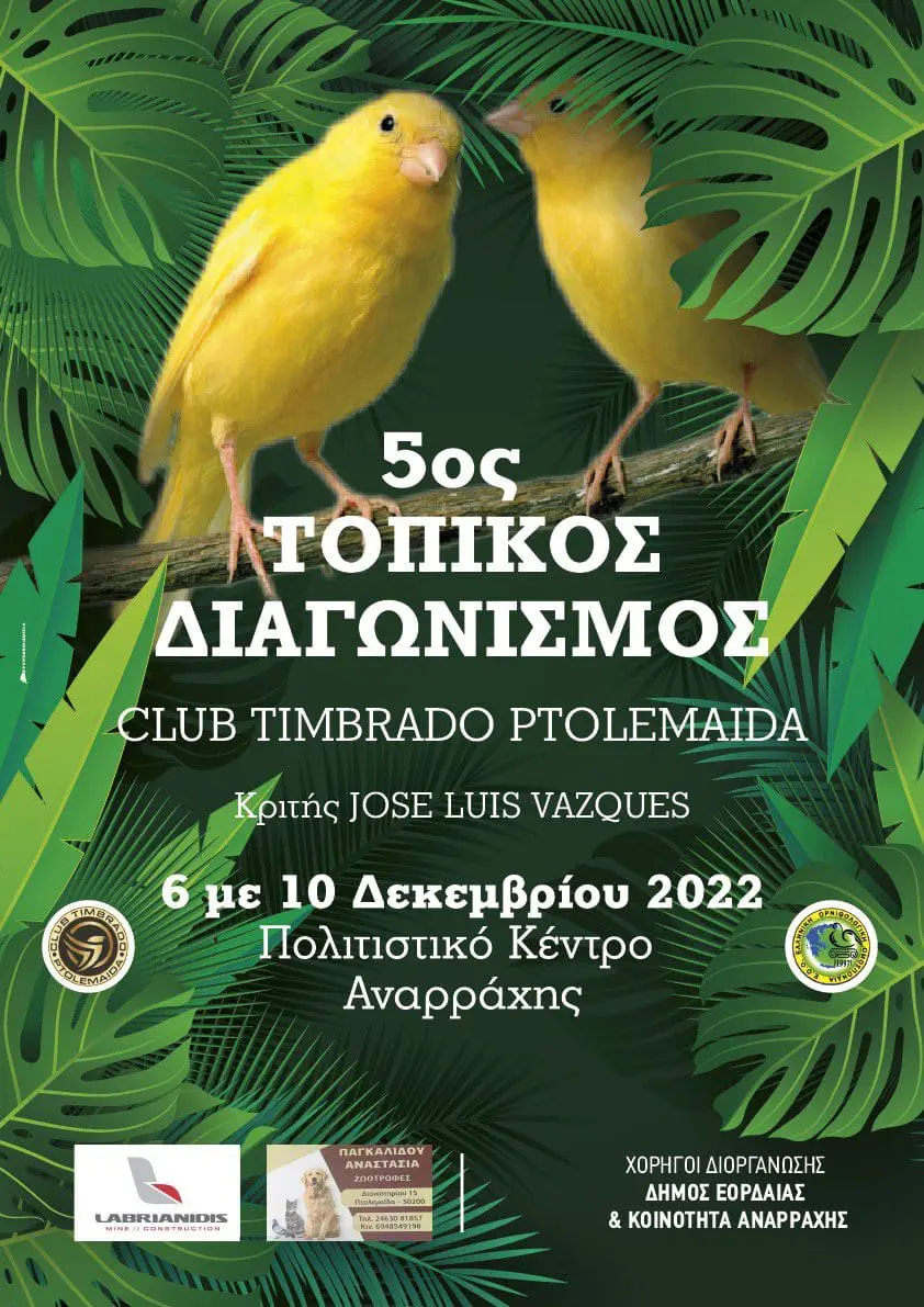 5ος Τοπικός Διαγωνισμός Club Timbrado Ptolemaida