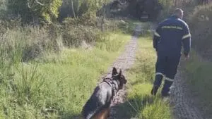 Νεκρή βρέθηκε η ηλικιωμένη αγνοούμενη από την Ακρινή Κοζάνης - Εντοπίστηκε κοντά σε ταινιόδρομο του ορυχείου Νοτίου Πεδίου