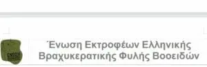 Ανεπιτήρητα βοοειδή στην Πρέσπα