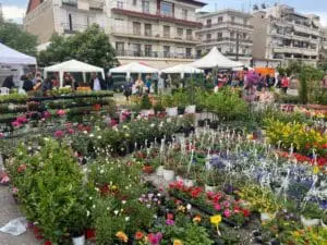 Παράταση λειτουργίας της Ανθοκομικής Έκθεσης Εορδαίας.