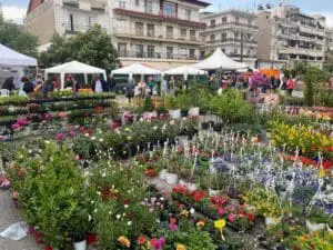 Πτολεμαΐδα: Η Ανθοκομική, μας χρειάζεται!