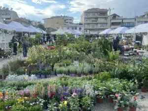 Πτολεμαΐδα: Διαφωνούν οι εκθέτες της Ανθοκομικής έκθεσης με τη μεταφορά της σε άλλο χώρο