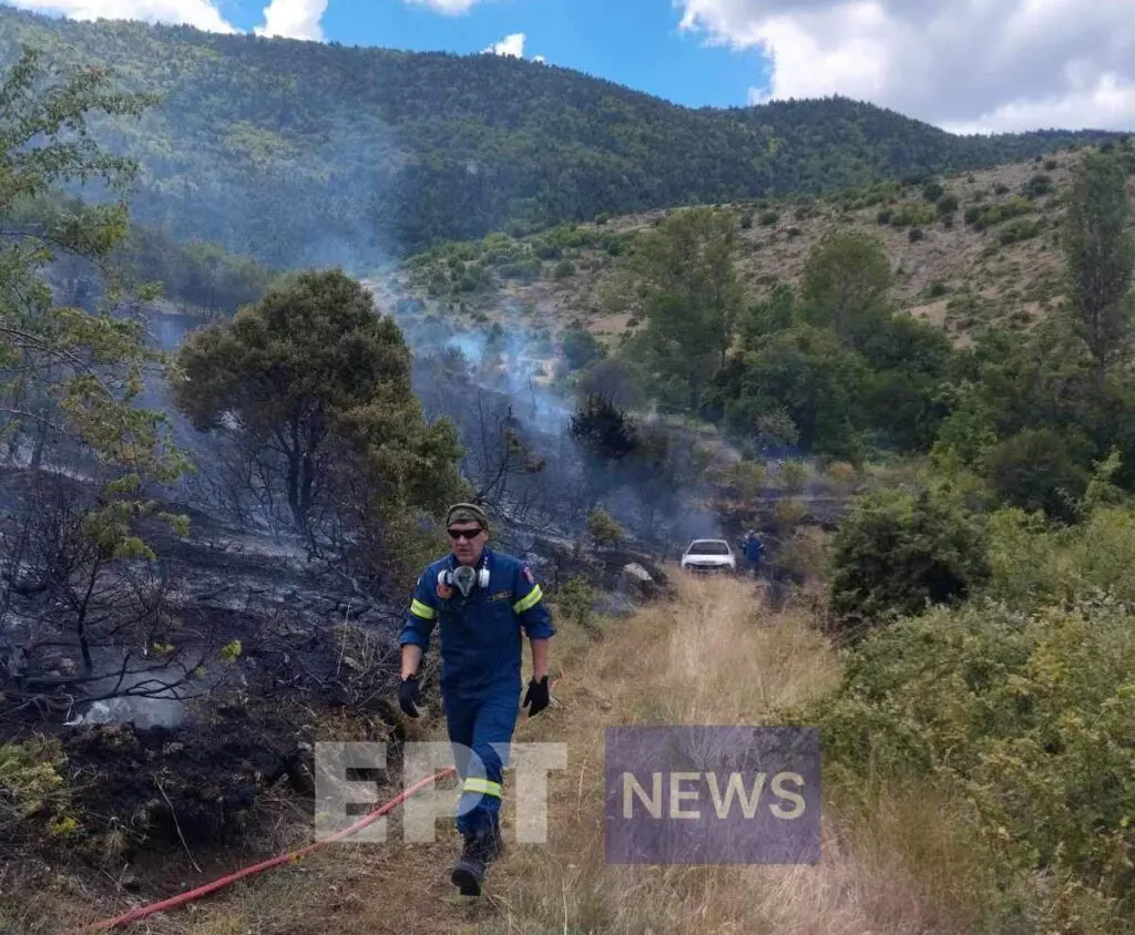 Υπό έλεγχο η πυρκαγιά στον Βούρινο Κοζάνης – Ο πρώτος απολογισμός