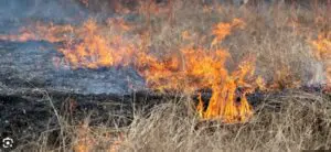 Συνελήφθη από ανακριτικούς υπαλλήλους της Π.Υ. Κοζάνης, ημεδαπός, για πυρκαγιά που προκλήθηκε σε ξηρά χόρτα εντός οικοπεδικού χώρου