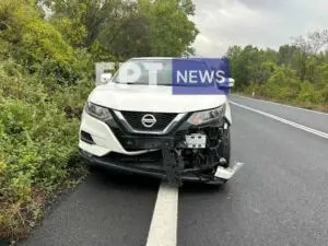 Καστοριά: Τροχαίο ατύχημα με νεκρό ζαρκάδι