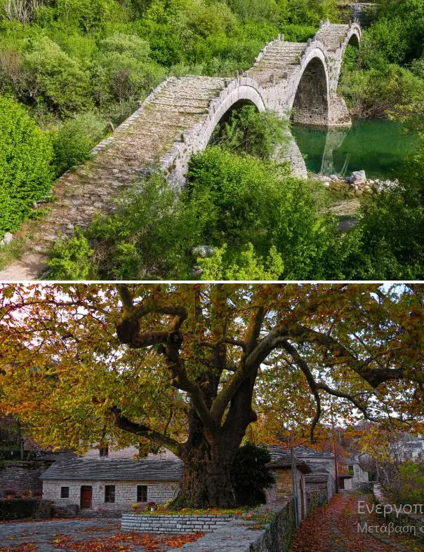 Oρειβατική λέσχη Εορδαίας - ΦΘΗΝΟΠΟΡΙΝΟ ΖΑΓΟΡΙ