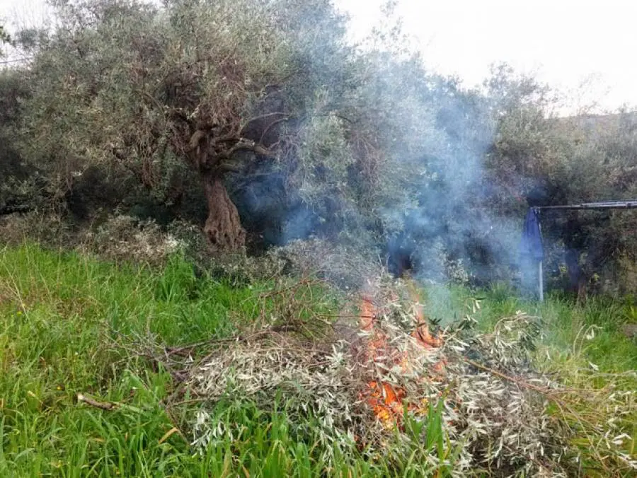 Διοικητικά Πρόστιμα για Καύση Φυτικής Βλάστησης σε Φλώρινα και Καστοριά: Παράβαση Νομοθεσίας