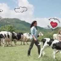 Eordaialive.com - Τα Νέα της Πτολεμαΐδας, Εορδαίας, Κοζάνης Αποχωρεί η ΝΟΥΝΟΥ από την αγορά φρέσκου γάλακτος