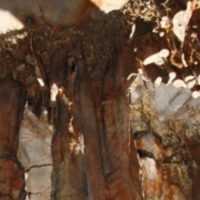 Eordaialive.com - Τα Νέα της Πτολεμαΐδας, Εορδαίας, Κοζάνης Σπήλαιο Ερμακιάς: «Θησαυρός» που πρέπει να προστατευθεί και να αξιοποιηθεί