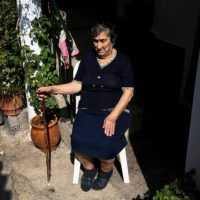 Eordaialive.com - Τα Νέα της Πτολεμαΐδας, Εορδαίας, Κοζάνης Το μεσημέρι το Νόμπελ Ειρήνης: Τα πρόσωπα της ελληνικής υποψηφιότητας