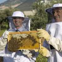 Eordaialive.com - Τα Νέα της Πτολεμαΐδας, Εορδαίας, Κοζάνης Επιδοτούμενα προγράμματα για τους μελισσοκόμους της Φλώρινας
