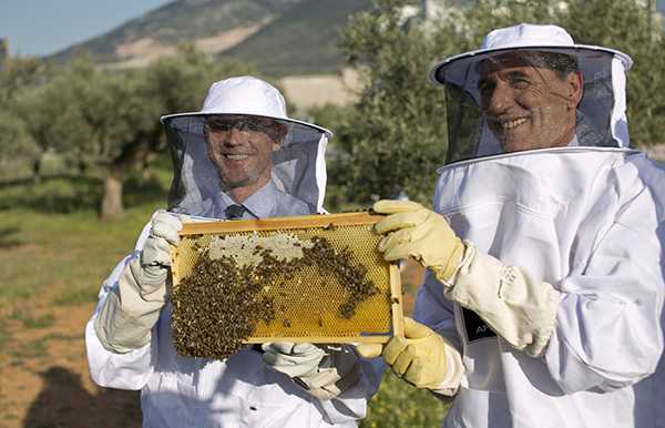 Eordaialive.com - Τα Νέα της Πτολεμαΐδας, Εορδαίας, Κοζάνης Επιδοτούμενα προγράμματα για τους μελισσοκόμους της Φλώρινας
