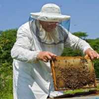 Eordaialive.com - Τα Νέα της Πτολεμαΐδας, Εορδαίας, Κοζάνης Κυψέλες Διαχείμασης - Δικαιούχοι των Δράσεων 3.1 Αντικατάσταση κυψελών & 3.2 Νομαδικής μελισσοκομίας