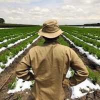 Eordaialive.com - Τα Νέα της Πτολεμαΐδας, Εορδαίας, Κοζάνης Παράταση υποβολής αιτήσεων ενίσχυσης για το Υπομέτρο 6.1 «Εγκατάσταση Νέων Γεωργών»