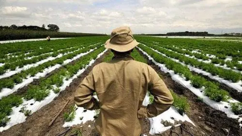 Eordaialive.com - Τα Νέα της Πτολεμαΐδας, Εορδαίας, Κοζάνης Παράταση υποβολής αιτήσεων ενίσχυσης για το Υπομέτρο 6.1 «Εγκατάσταση Νέων Γεωργών»