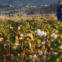 Eordaialive.com - Τα Νέα της Πτολεμαΐδας, Εορδαίας, Κοζάνης Νέο χρηματοοικονομικό εργαλείο της ΕΕ για τους αγρότες