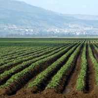 Eordaialive.com - Τα Νέα της Πτολεμαΐδας, Εορδαίας, Κοζάνης Εντός Δεκέμβρη πληρωμές βιολογικής γεωργίας απο τον ΟΠΕΚΕΠΕ