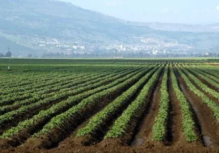 Eordaialive.com - Τα Νέα της Πτολεμαΐδας, Εορδαίας, Κοζάνης Εντός Δεκέμβρη πληρωμές βιολογικής γεωργίας απο τον ΟΠΕΚΕΠΕ