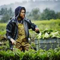 Eordaialive.com - Τα Νέα της Πτολεμαΐδας, Εορδαίας, Κοζάνης Ποιοι αγροτές θα πωλούν προϊόντα χωρίς ΦΠΑ