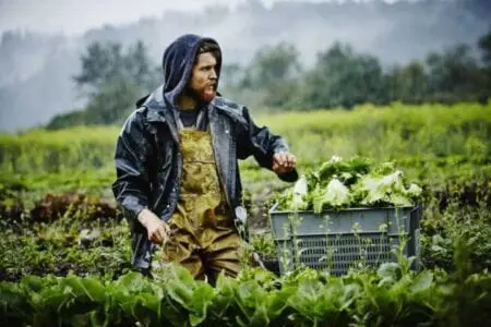 Eordaialive.com - Τα Νέα της Πτολεμαΐδας, Εορδαίας, Κοζάνης Ποιοι αγροτές θα πωλούν προϊόντα χωρίς ΦΠΑ