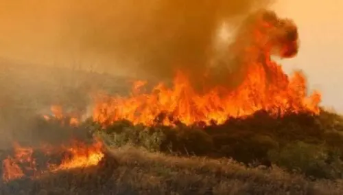 Eordaialive.com - Τα Νέα της Πτολεμαΐδας, Εορδαίας, Κοζάνης Κοζάνη: Πρόλαβαν επέκταση πυρκαγιάς σε δάσος στα Νάματα