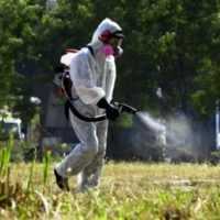 Eordaialive.com - Τα Νέα της Πτολεμαΐδας, Εορδαίας, Κοζάνης Κοζάνη: Ψεκασμοί για την καταπολέμηση των κουνουπιών