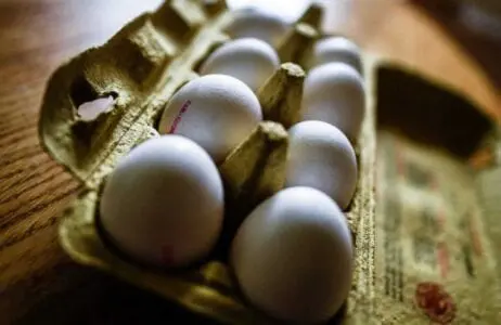 Eordaialive.com - Τα Νέα της Πτολεμαΐδας, Εορδαίας, Κοζάνης Τι έδειξαν οι έλεγχοι του ΕΦΕΤ για μολυσμένα αυγά με εντομοκτόνο στην χώρα μας