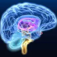 Eordaialive.com - Τα Νέα της Πτολεμαΐδας, Εορδαίας, Κοζάνης Πώς το μάσημα της τσίχλας διεγείρει τον εγκέφαλο