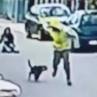 Eordaialive.com - Τα Νέα της Πτολεμαΐδας, Εορδαίας, Κοζάνης Αδέσποτος σκύλος κυνήγησε ληστή, προστατεύοντας μια γυναίκα (βίντεο)