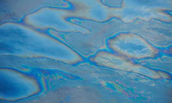 Eordaialive.com - Τα Νέα της Πτολεμαΐδας, Εορδαίας, Κοζάνης Θεσσαλονίκη: Η θάλασσα γέμισε πετρέλαιο - Ψάχνουν τα αίτια της ρύπανσης