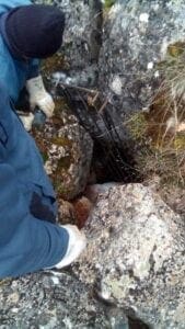 Επανεμφάνιση της αρκούδας στην Αναρράχη Εορδαίας - Τέθηκαν άμεσα σε εφαρμογή τα προβλεπόμενα μέτρα - Eordaialive.com