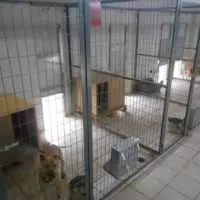 Eordaialive.com - Τα Νέα της Πτολεμαΐδας, Εορδαίας, Κοζάνης Επιδότηση 600.000 ευρώ σε δήμους για τα αδέσποτα ζώα