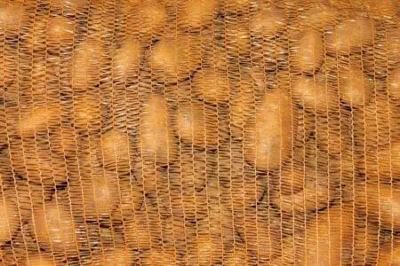 Eordaialive.com - Τα Νέα της Πτολεμαΐδας, Εορδαίας, Κοζάνης Εορδαία: Χιλιάδες τόνοι αδιάθετης πατάτας