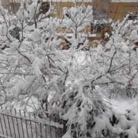 Eordaialive.com - Τα Νέα της Πτολεμαΐδας, Εορδαίας, Κοζάνης Πτολεμαΐδα: Το χιόνι έφερε προβλήματα και γκρίνια