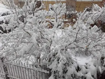 Eordaialive.com - Τα Νέα της Πτολεμαΐδας, Εορδαίας, Κοζάνης Πτολεμαΐδα: Το χιόνι έφερε προβλήματα και γκρίνια