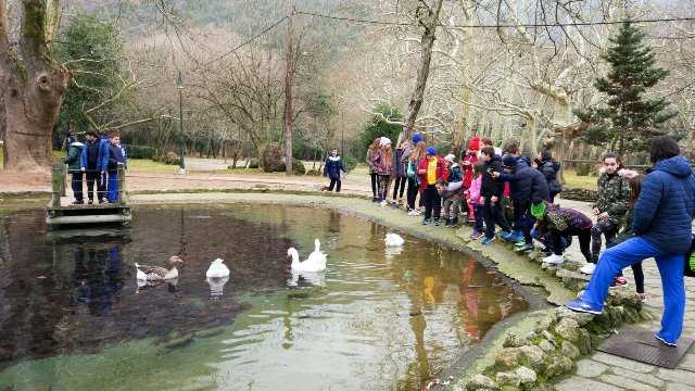 ΝΕΕΣ ΔΙΑΚΡΙΣΕΙΣ ΤΩΝ «ΔΕΛΦΙΝΙΩΝ» ΠΤΟΛΕΜΑΪΔΑΣ ΜΕ 38 ΜΕΤΑΛΛΙΑ ΣΤΟΥΣ «6ΟΥΣ ΑΓΩΝΕΣ» ΤΗΣ ΝΑΟΥΣΑΣ - Eordaialive.com