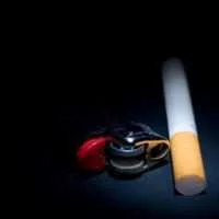 Eordaialive.com - Τα Νέα της Πτολεμαΐδας, Εορδαίας, Κοζάνης «Στροφή» στον βιολογικό καπνό - Πού ευδοκιμεί