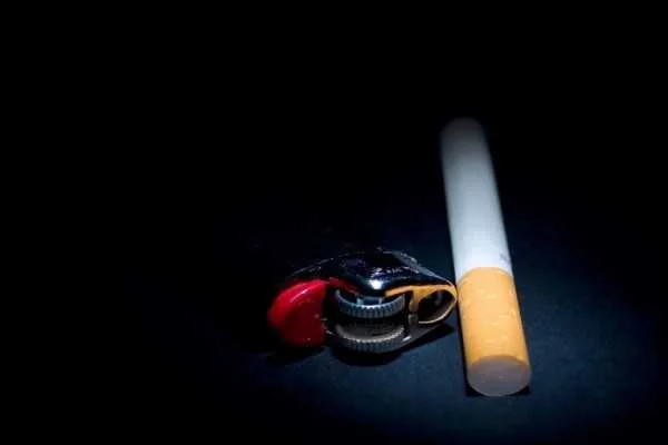 Eordaialive.com - Τα Νέα της Πτολεμαΐδας, Εορδαίας, Κοζάνης «Στροφή» στον βιολογικό καπνό - Πού ευδοκιμεί