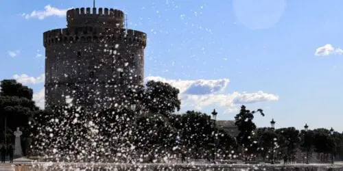 Eordaialive.com - Τα Νέα της Πτολεμαΐδας, Εορδαίας, Κοζάνης Φρικτό θέαμα στη Θεσσαλονίκη: Νεκρά ποντίκια επιπλέουν στον Θερμαϊκό [εικόνες]