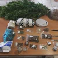 Eordaialive.com - Τα Νέα της Πτολεμαΐδας, Εορδαίας, Κοζάνης Συνελήφθη 35χρονος ημεδαπός στη Λαμία, κατηγορούμενος για καλλιέργεια και κατοχή ναρκωτικών, καθώς και παράβαση του νόμου περί όπλων